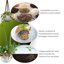 GebEarth Perlite Espansa per Piante in Vaso 1L - Granulometria 2-6 mm - Migliora Drenaggio e Aerazione - Ideale per Piante Grasse, Orchidee e Carnivore 3