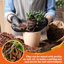 Legigo 10 Quarts Organic Orchid Potting Bark - All Natural Pine Bark Wood Chips for Houseplant Mulch and Root Development 7