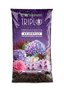 TerComposti Terriccio Acidofile TRIPLO 45 - Miscela Professionale con Proteine e Torba - pH 4.5 per Piante Acidofile 1