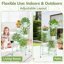 iDavosic.ly 5-Tier Corner Plant Stand, Metal Indoor Outdoor Flower Display Shelf, Folding Tall Wrought Iron Orchid Rack for Patio Balcony and Garden, Light Green 6