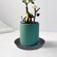 Bleuhome 6 Pack Plant Saucer Trays - Heavy Duty Plastic Drainage Drip Trays for Indoor and Outdoor Flower Pots, 6 Inch, Cement Gray 7