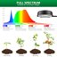 SANSI 40W Full Spectrum LED Grow Lights for Indoor Plants, 4 Head Dimmable Tripod Stand Plant Light with Auto Timer and Adjustable Height 35"-65" 3