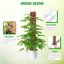 Kit 6 Bastoncini di Muschio in Plastica per Monstera - Supporto Autoirrigante a Forma di D con Picchetti, Etichette e Fascette 3
