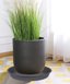 Bleuhome 6 Pack 12 Inch Plant Saucers - Heavy Duty Plastic Round Drip Trays for Indoor & Outdoor Flower Pots 4