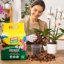 Vigorplant Terriccio Orchidee Professionale 10L - Substrato con Corteccia di Pino, Fibra di Cocco e Torba Baltica - Miscela Aerata e Drenante per Orchidee Epifite e Terrestri 2