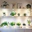SANSI 20W Full Spectrum LED Puck Grow Lights for Indoor Plants, 4-Head Plant Lamp with Auto On/Off Timer, Ceramic Heat Sink Technology 8