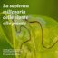Newpharm StarBugs Concime Liquido Concentrato Manganese, Polifenoli e Caffeina - Per Applicazioni Fogliari e Radicali - 200g 2