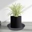 Bleuhome 6 Pack Plant Saucer Trays - Heavy Duty Plastic Drainage Drip Trays for Indoor and Outdoor Flower Pots, 6 Inch, Cement Gray 3