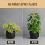Craft911 Bendable Moss Pole for Monstera & Climbing Plants - 2 Pack 30 Inch Coco Coir Plant Support Stakes 7