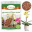 Legigo 2 Quarts Organic Orchid Potting Bark - All Natural Pine Bark Wood Chips for Houseplant Mulch and Root Development 8