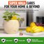 Super Ninja Gnat Traps & Fruit Fly Catchers - 12 Pack Indoor Pest Control Kit - 10 Yellow Sticky Plant Traps & 2 Natural Attractant Fruit Fly Traps - Non-Toxic, Kid & Pet Friendly 7