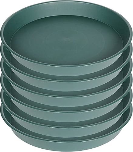 Bleuhome 6-Pack 6" Plant Saucers Green