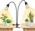 SANSI LED Grow Lights for Indoor Plants, Full Spectrum Gooseneck Clamp Lamp, 20W High PPFD Plant Light with Replaceable Bulbs 1