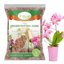 Legigo 12 Quarts Organic Orchid Potting Bark - All Natural Pine Bark Wood Chips for Root Development and Houseplant Mulch 1