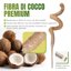 Mcbazel Set 2 Pezzi di Pali in Fibra di Cocco da 70 cm per Piante Rampicanti, Supporto Flessibile con Nucleo in Alluminio e Kit Legacci per Monstera e Pothos 5