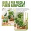 Mcbazel Set 2 Pezzi di Pali in Fibra di Cocco da 70 cm per Piante Rampicanti, Supporto Flessibile con Nucleo in Alluminio e Kit Legacci per Monstera e Pothos 4