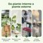 Bamworld Sfere di Irrigazione in Vetro Iridescente - Set da 2 Pezzi per Piante da Interno ed Esterno, Sistema di Auto-irrigazione Automatico per Vacanze 8