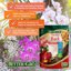 Better-Gro Orchid Bark Premium Grade Potting Medium, 4 Quarts (Pack of 2) 6