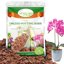 Legigo 8 Quarts Organic Orchid Potting Bark - All Natural Pine Bark Wood Chips for Houseplant Mulch and Root Development 1