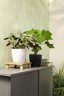 Lechuza Classico Color 28 White Self-Watering Round Planter 11" 8