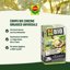 COMPO BIO Concime Universale Organico con Lana di Pecora e Guano, Fertilizzante Naturale per Orto e Giardino, Effetto Prolungato fino a 5 Mesi, 2kg 2