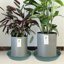 Bleuhome 2 Pack of 17 Inch Plant Saucers - Heavy Duty Plastic Flower Pot Drip Trays and Bird Bath Bowls, Deep Drainage Trays for Indoor & Outdoor Planters, Green 6
