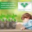 Bonviee 10 Pack Seed Starter Tray Kit with Elevated Lids and Adjustable Humidity Vents - 120 Cells Clear Seedling Propagation Trays for Greenhouse and Garden 6