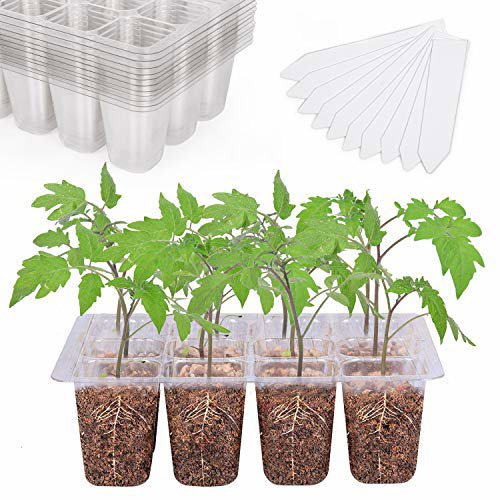 Bonviee 12 Pack Seed Starter Trays with Drainage Holes, Reusable Clear Plastic Seedling Propagation Trays for Root Monitoring
