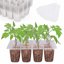 Bonviee 12 Pack Seed Starter Trays with Drainage Holes, Reusable Clear Plastic Seedling Propagation Trays for Root Monitoring 1