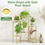 iDavosic.ly 6-Tier Corner Plant Stand, Metal Indoor Outdoor Flower Display Holder, Folding Tall Wrought Iron Orchid Rack for Patio Balcony Porch Garden and Living Room - Gold 7