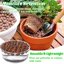 Legigo 2 LB Organic Leca Clay Pebbles, 4mm-16mm Natural Hydroton Balls for Hydroponics, Aquaponics, Orchids and Indoor Plants 4