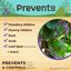 Bonide Captain Jack's Neem Oil 128 oz Ready-to-Use Organic Insecticide Fungicide & Miticide Spray 5