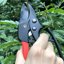 Gonicc 8" Professional Ratchet Anvil Pruning Shears GPPS-1011 - Heavy Duty SK-5 Steel Garden Clippers with 3X Power Mechanism 6