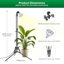 SANSI 40W Full Spectrum LED Grow Light with Adjustable Tripod Stand and Remote Control 5