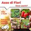 CIFO Asso di Fiori Concime Universale in Polvere 1kg - Fertilizzante per Piante Verdi, Grasse, Fiori e Orto - Previene Carenze Nutritive e Favorisce la Crescita - Made in Italy 3