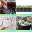 Legigo 8 Quarts Organic Horticultural Perlite - Natural Soil Additive for Drainage, Aeration and Root Growth 5