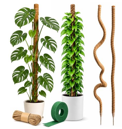 Craft911 64" Bendable Moss Pole