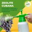 Solabiol Zeolite Cubana 1kg - Corroborante Naturale per Piante - Protezione da Insetti, Funghi e Stress Abiotico - Ideale per Orto, Frutteto e Fiori 9