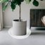 Bleuhome 2 Pack 14 Inch Plant Saucers - Heavy Duty Deep Plastic Drip Trays for Flower Pots & Bird Baths 4