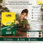 Vigorplant Terriccio Bonsai 5L - Substrato Professionale per Conifere e Latifoglie con Pomice Vulcanica e Argilla - Drenante e Aerato per Rinvaso e Salute Radicale 7