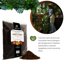 GebEarth Terriccio Universale Protein Base 3L - Concime Organico a Rilascio Graduale con Aminoacidi, Acidi Umici e Fulvici per Piante in Vaso 6