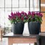 Lechuza Classico Color 21 Slate Self-Watering Small Round Planter 8.3" 6