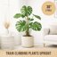 Craft911 Bendable Moss Pole for Monstera & Climbing Plants - 2 Pack 30 Inch Coco Coir Plant Support Stakes 5
