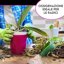 ZOMAGARDEN Bark per Orchidee Premium - Corteccia Naturale Lavata e Sterilizzata - 35L (15/20mm) 3