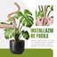 Mcbazel Set 2 Pezzi di Pali in Fibra di Cocco da 70 cm per Piante Rampicanti, Supporto Flessibile con Nucleo in Alluminio e Kit Legacci per Monstera e Pothos 6
