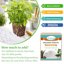 Legigo 10 Quarts Organic Horticultural Perlite - Natural Soil Additive for Drainage, Aeration and Root Growth 5