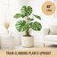 Craft911 Bendable Moss Pole for Monstera and Climbing Plants - 48 Inch Coco Coir Plant Support Stake 4