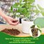 Legigo 4 Quarts Organic Orchid Potting Bark - All Natural Pine Bark Wood Chips for Houseplant Mulch and Root Development 8