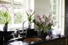 Elho Green Basics Orchid Saucer 14cm - Sottovaso per Orchidee Trasparente 2