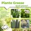 CIFO Concime Liquido Piante Grasse e Succulente 200ml - Fertilizzante con Ferro e Microelementi per Cactacee, Crassulacee e Agavacee - Favorisce Fioritura e Crescita Sana - Made in Italy 3